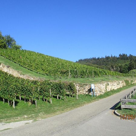 Ferienwohnung Am Sulzbach Sulzburg Exteriör bild